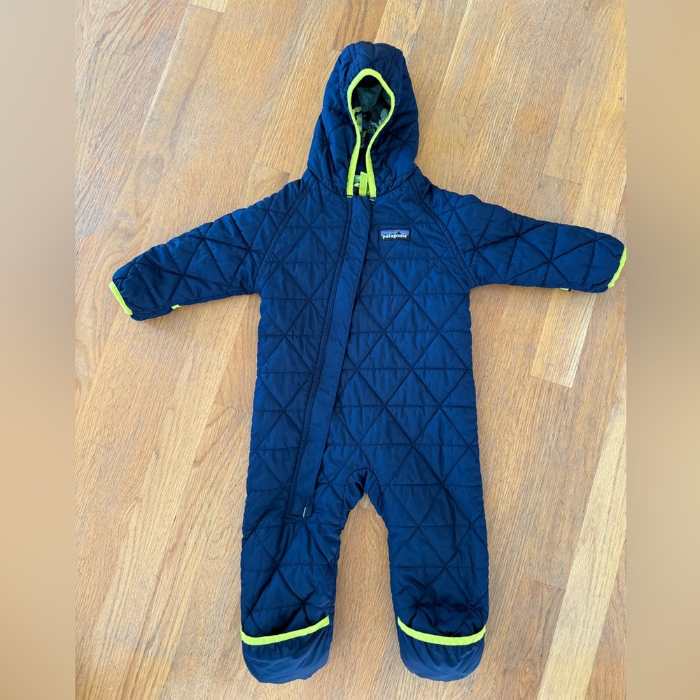 Patagonia Bunting